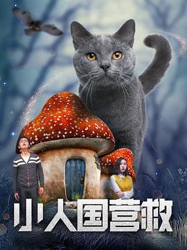 3p视频在线观看