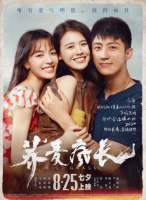 中文字幕网站在线观看